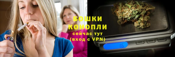 соль ск Дмитров