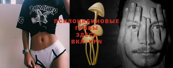 дживик Дмитровск