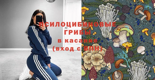 дживик Дмитровск